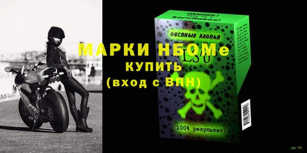 шишки Белоозёрский