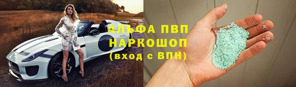 гидра Белокуриха