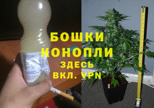 гидра Белокуриха