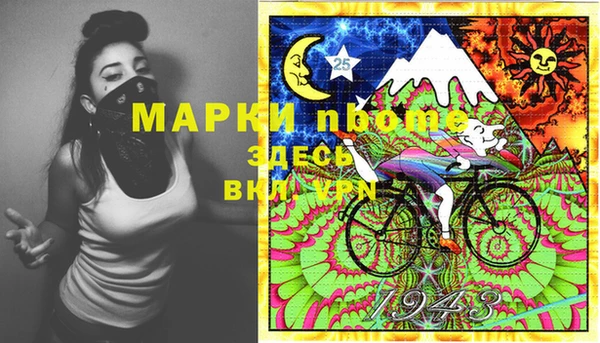 шишки Белоозёрский