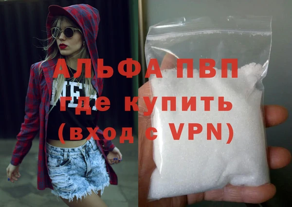 шишки Белоозёрский