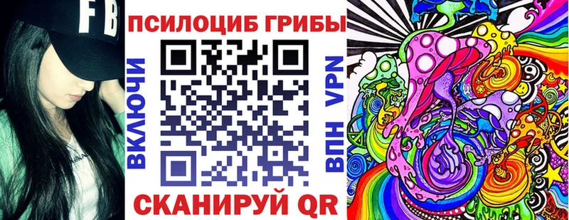 Галлюциногенные грибы Psilocybe  дарнет шоп  ОМГ ОМГ как войти  Новосибирск 