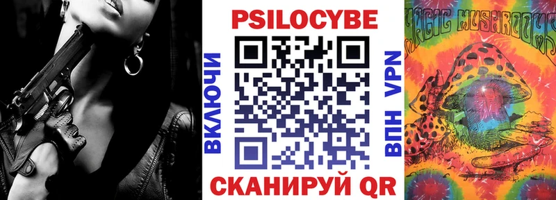 Псилоцибиновые грибы мицелий Новосибирск